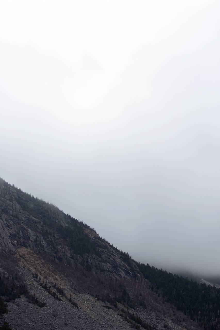 fog, mountain, weather, climate, misty, morning, haze, environment, moody, natural, foggy, trees, slope, rocky, monochromatic, landscape, nature
, 