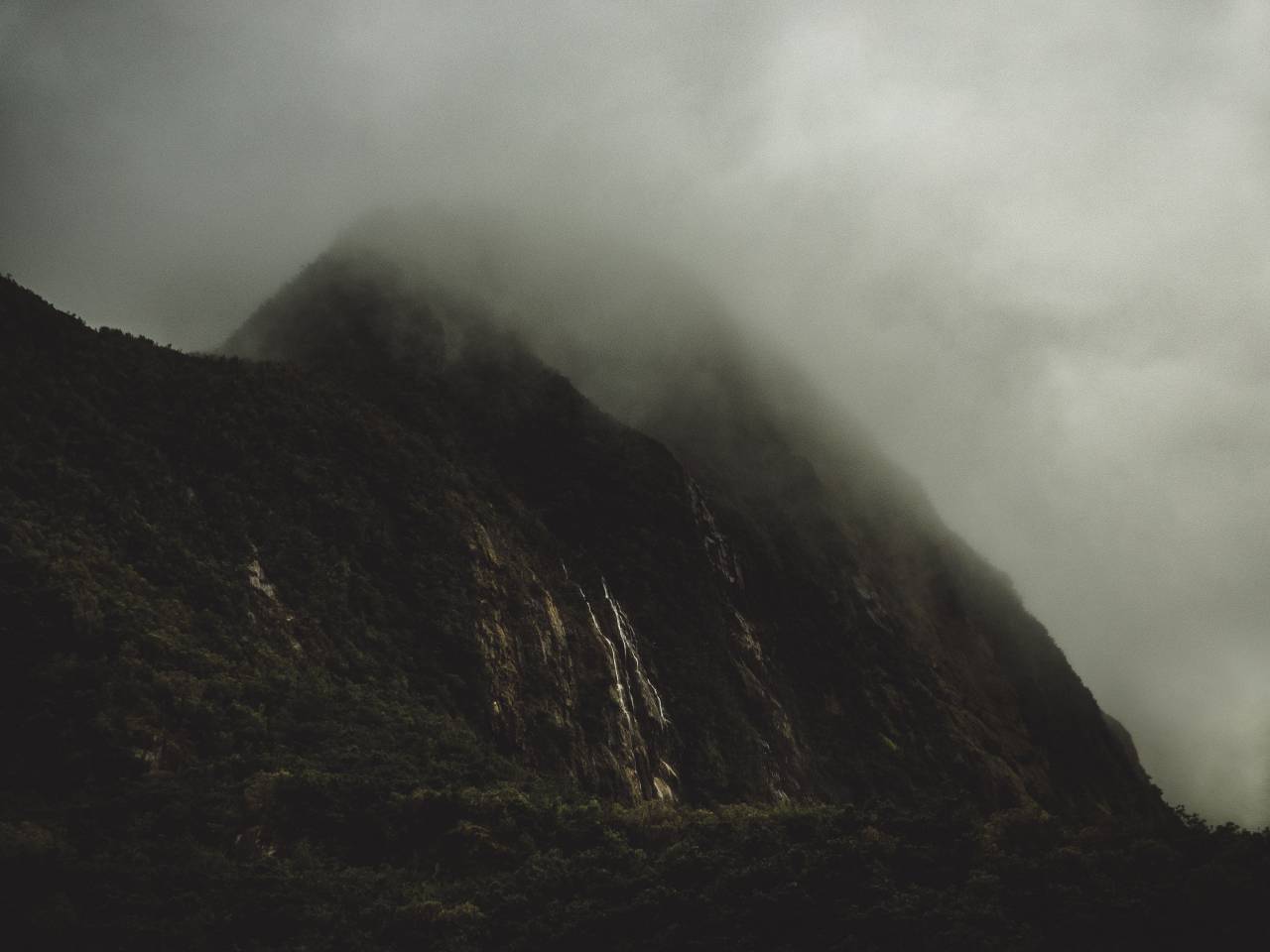 Montaña, Highland, niebla, paisaje, naturaleza, valle, árboles, plantas, al aire libre, bosques,