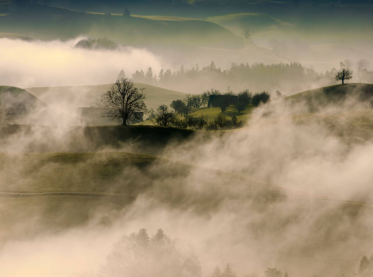 Montaña, Highland, árboles, plantas, naturaleza, vista, niebla, frío, clima, paisaje,
