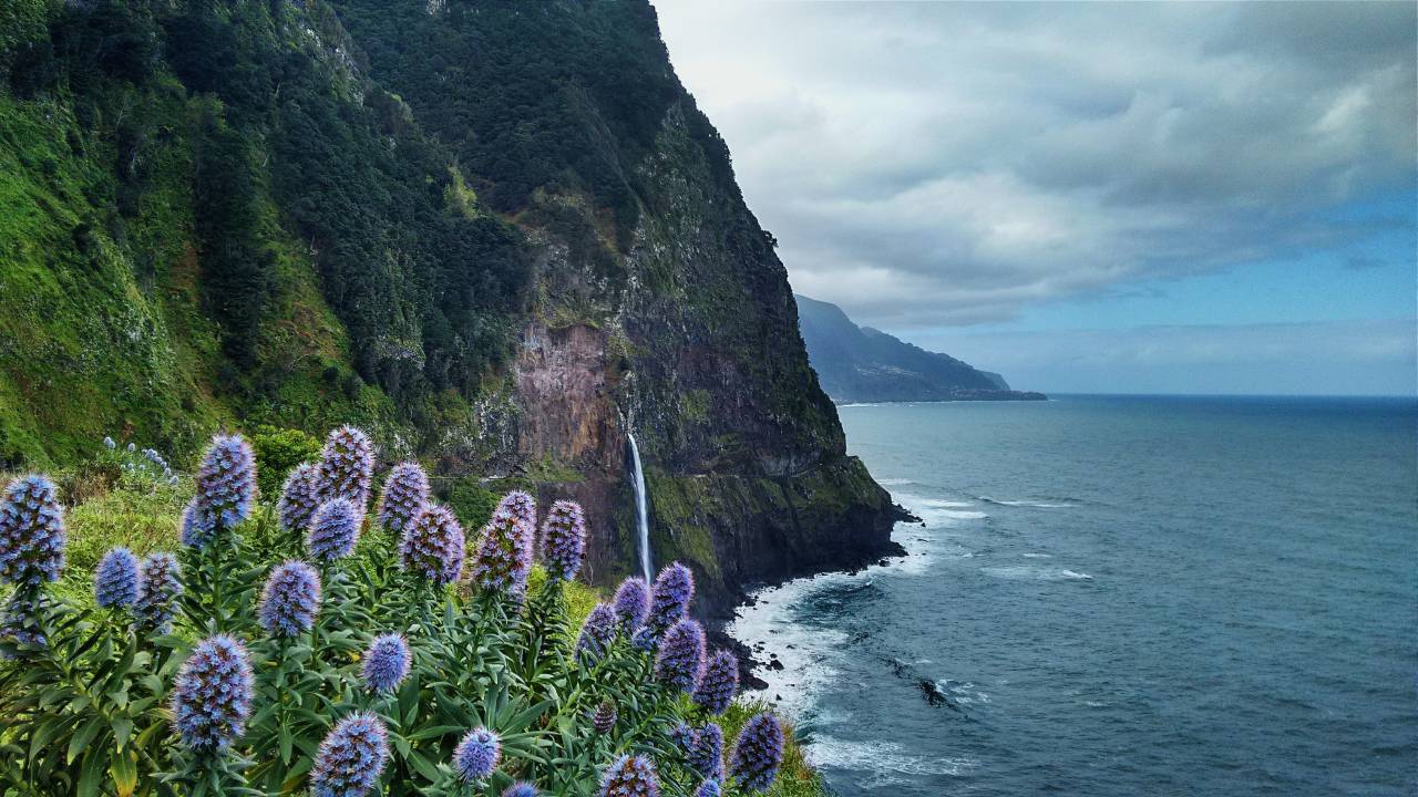 montaña, cielo, nubes, mar, océano, agua, ola, costa, naturaleza, paisaje, césped, flor, árboles, cascadas,