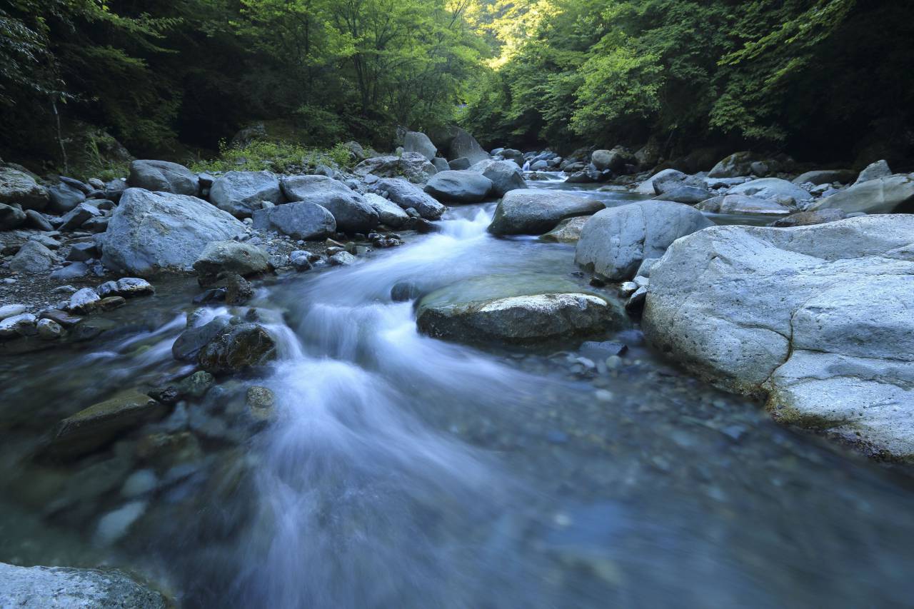 naturaleza, paisaje, agua, río, lago, piedra, roca, hojas, árboles, verde,