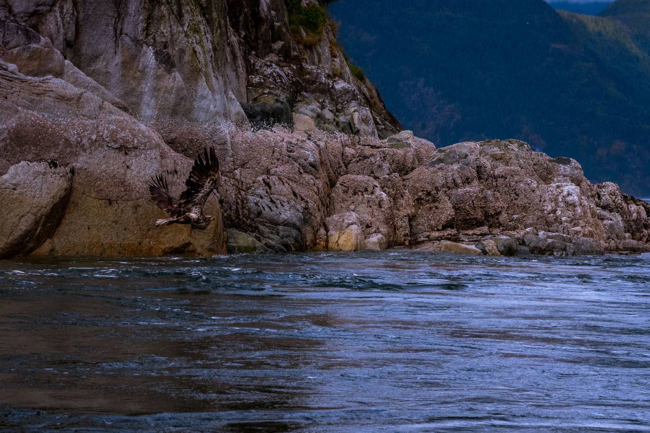 naturaleza, agua, océano, mar, playa, rocas, montaña, escalada, viajes, aventuras,