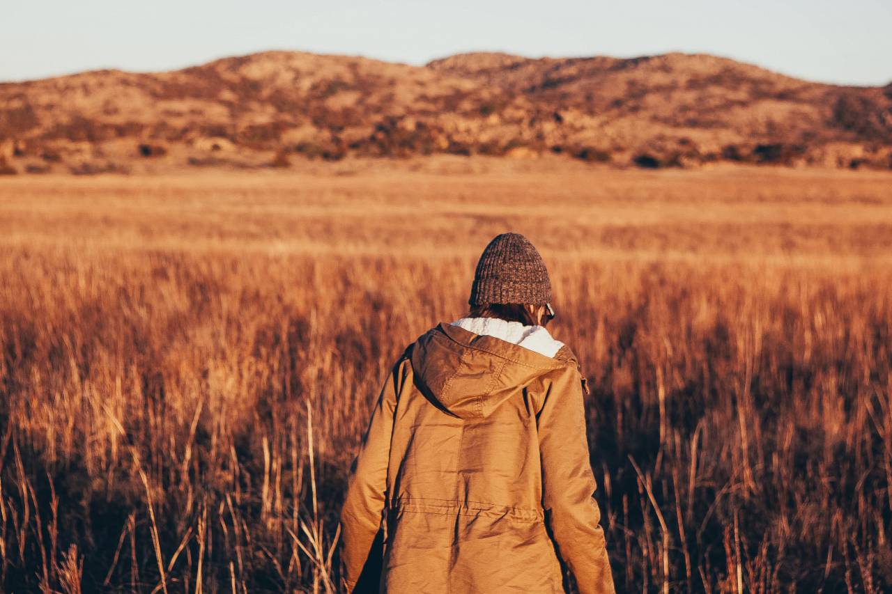 Gente, espalda, sudadera con capucha, chaqueta, gorro, caminar, fitness, ejercicio, al aire libre, naturaleza, campo, montaña, paisaje,