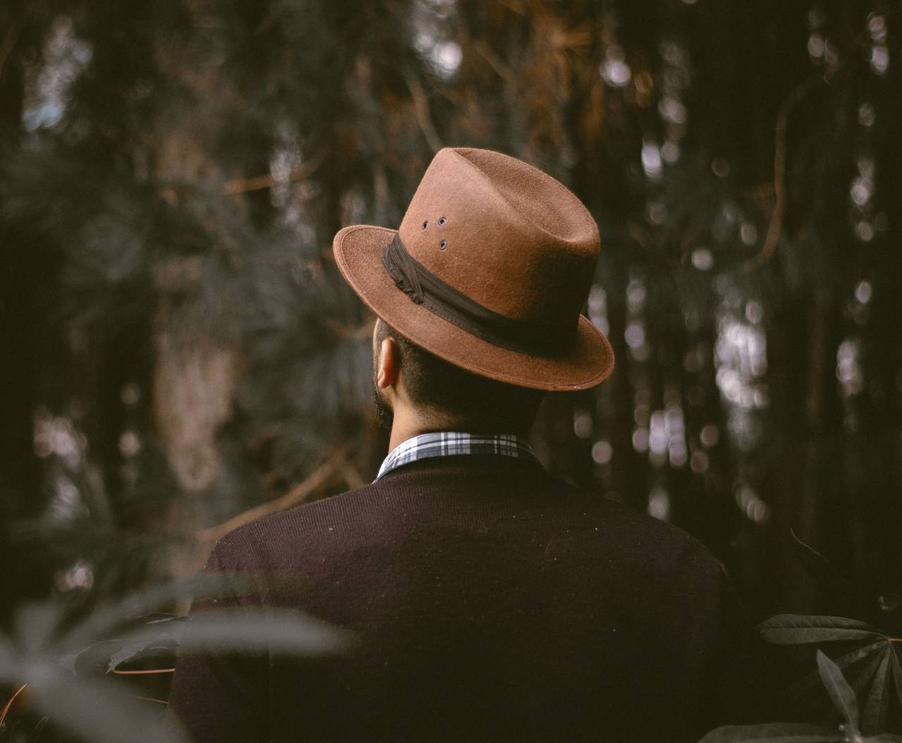 🥇 Imagen De Gente Hombre Formal Naturaleza Bosques Bosque 【foto