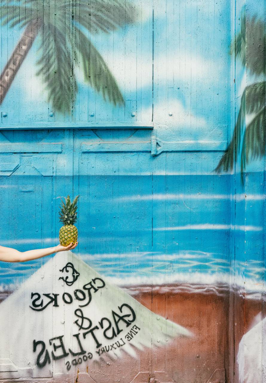 piña, postre, aperitivo, fruta, jugo, cultivo, gente, mano, pintura, arte, pared, playa, océano, mar, olas, árboles,