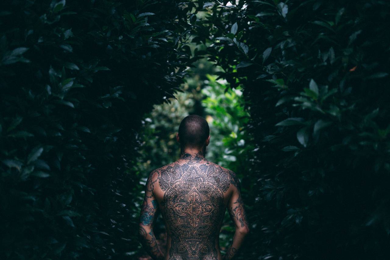 Árbol, verde, planta, exterior, naturaleza, gente, chico, cuerpo, tatuaje,