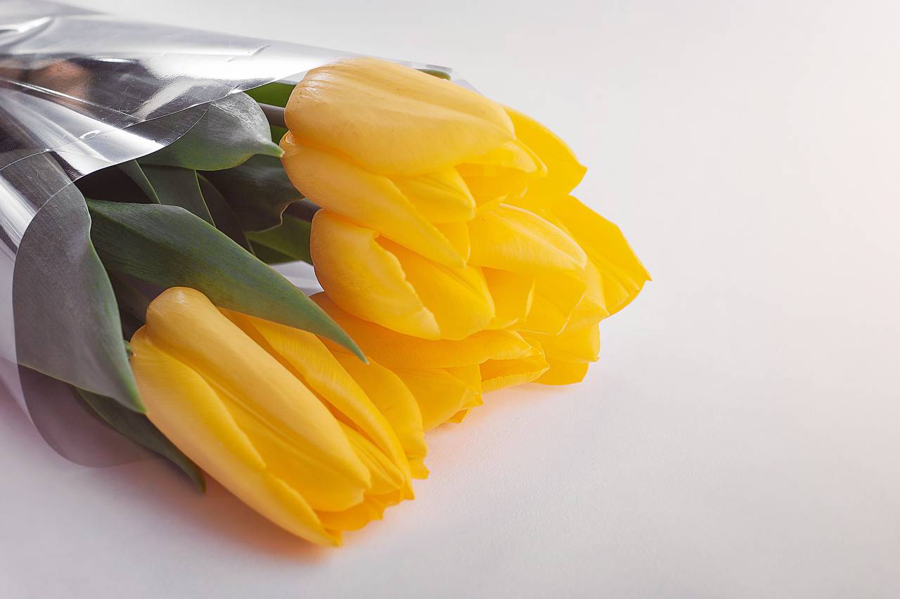 yellow, petal, flower, bouquet, tulip,
, 