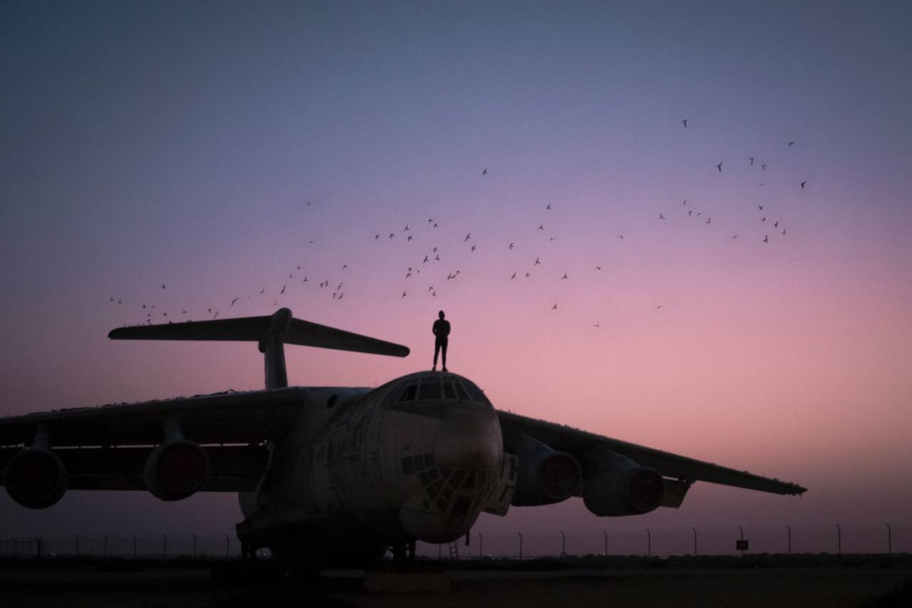 Avión, aerolínea, viaje, viaje, puesta de sol, vista, silueta, gente, avión, piloto, cielo, vuelo, pájaros,