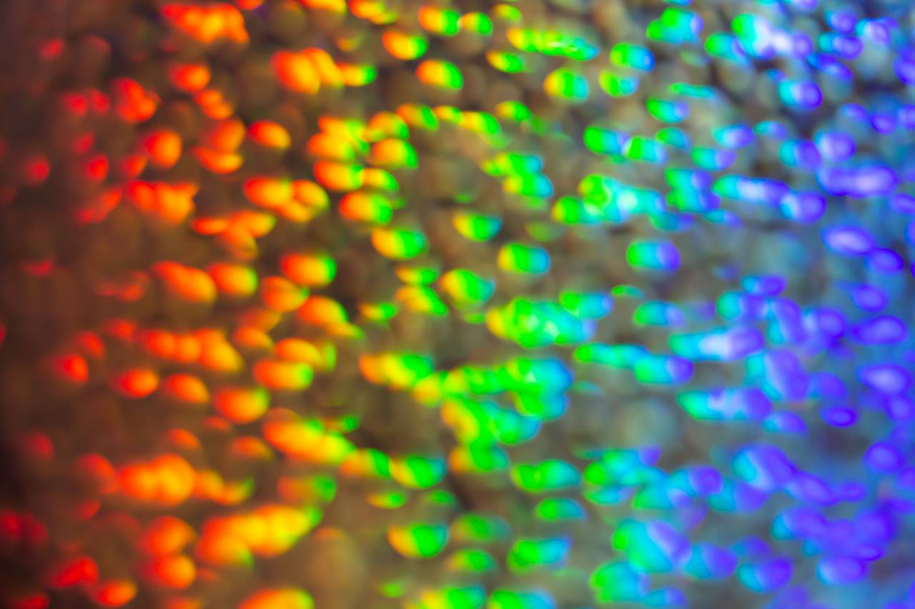 🥇 Imagen de bokeh luces de colores fondos de pantalla fondo diseño  abstracto - 【FOTO GRATIS】 100027109