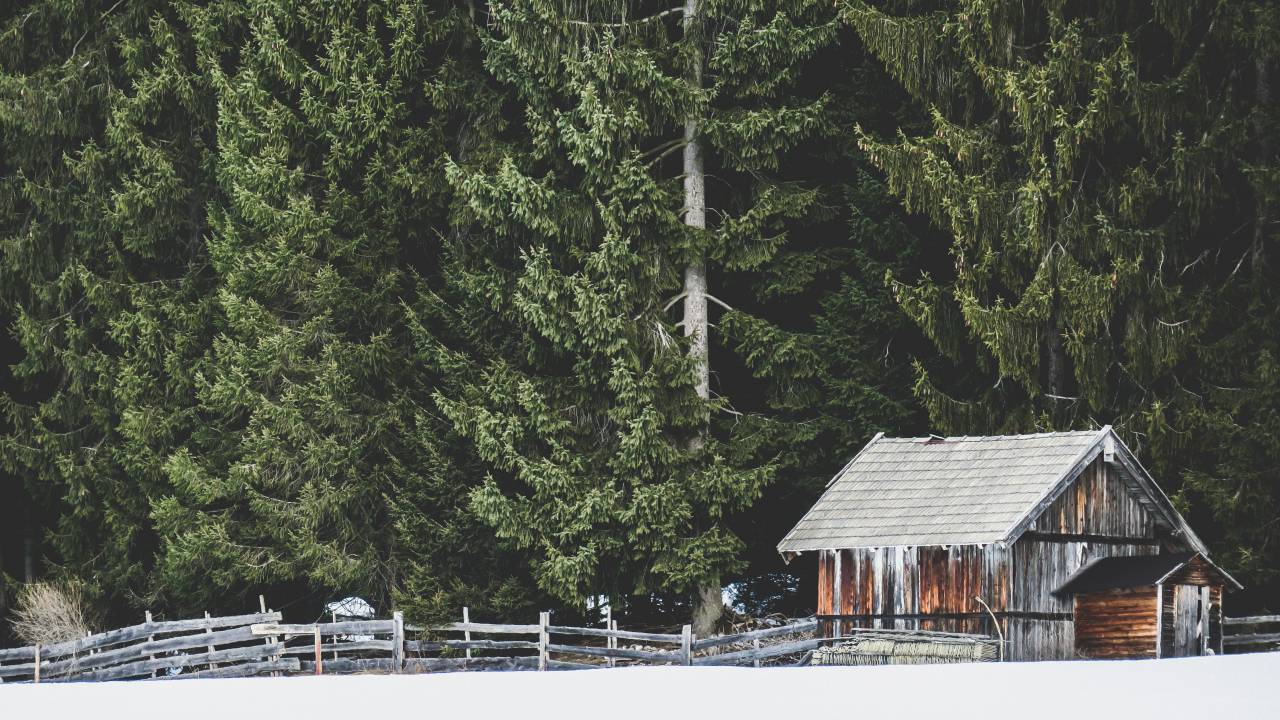 cabin, house, home, barn, fence, woods, forest, green
, 