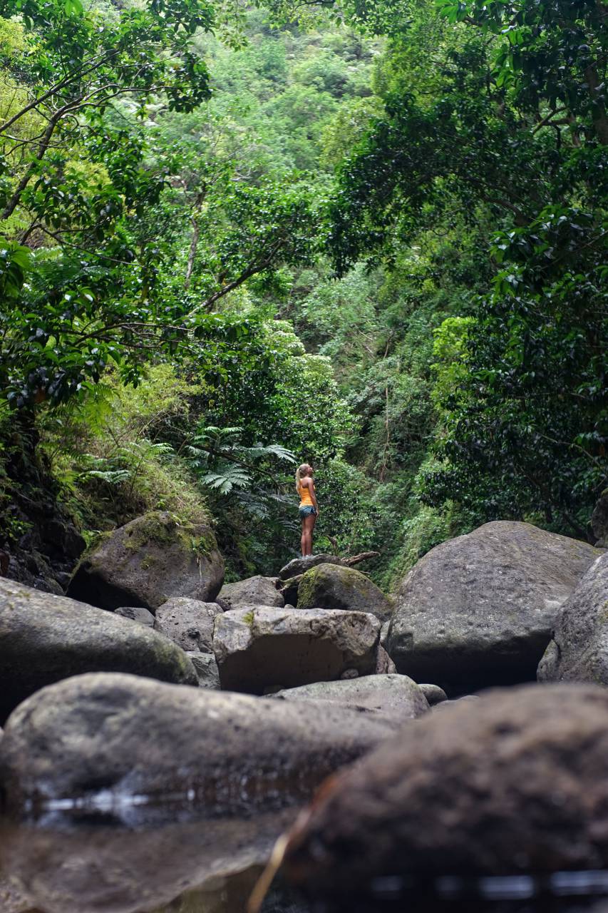 verde, viajes, rocas, gente, mujer, pantalones cortos, sando, rubia, montaña, montañero, aventura, belleza, naturaleza, árboles, hojas,