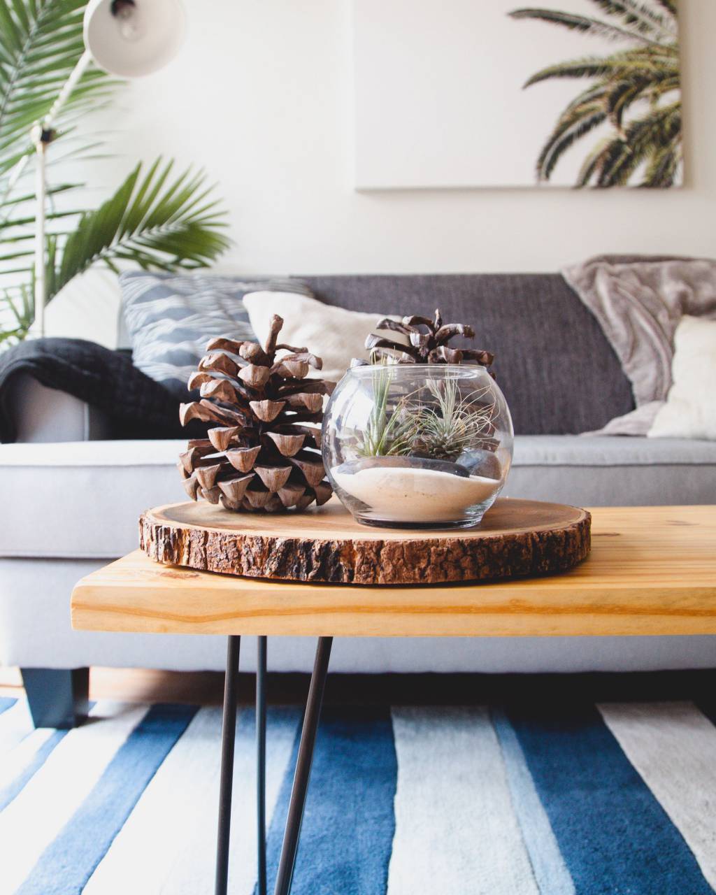 house, interior, couch, sofa, living, room, wooden, table, glass, display, conifer, cone, plant
, 