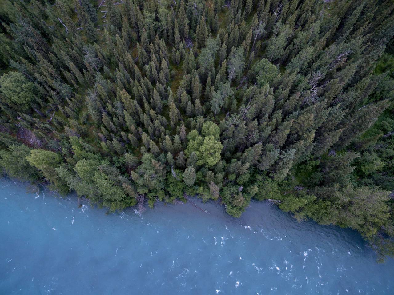lake, river, water, trees, forest, woods, nature, aerial, view, outdoors, adventure
, 
