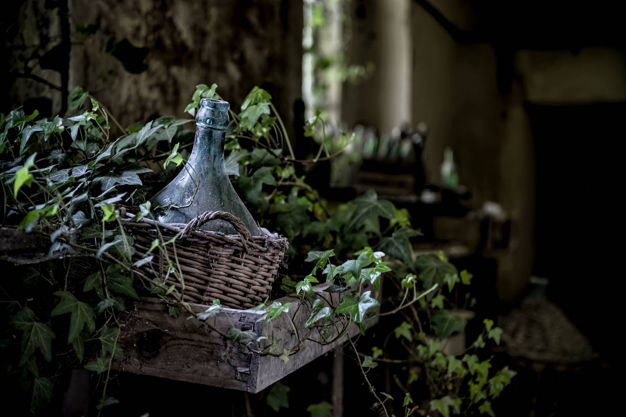 Hojas, vides, canasta, bokeh, difuminar, botella, suciedad, polvo, madera, plantas antiguas,