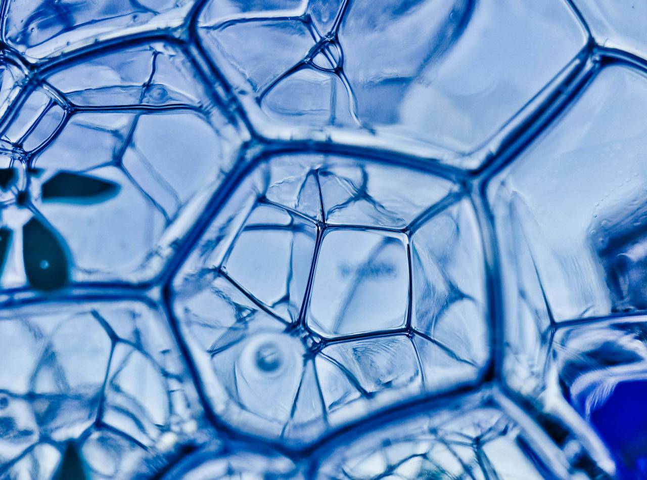 🥇 Image of Macro detail of a bubble structure - 【FREE PHOTO】 100038483