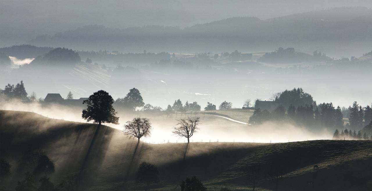Montaña, Highland, paisaje, árboles, plantas, naturaleza, vista al aire libre, el cielo, la niebla, el amanecer,