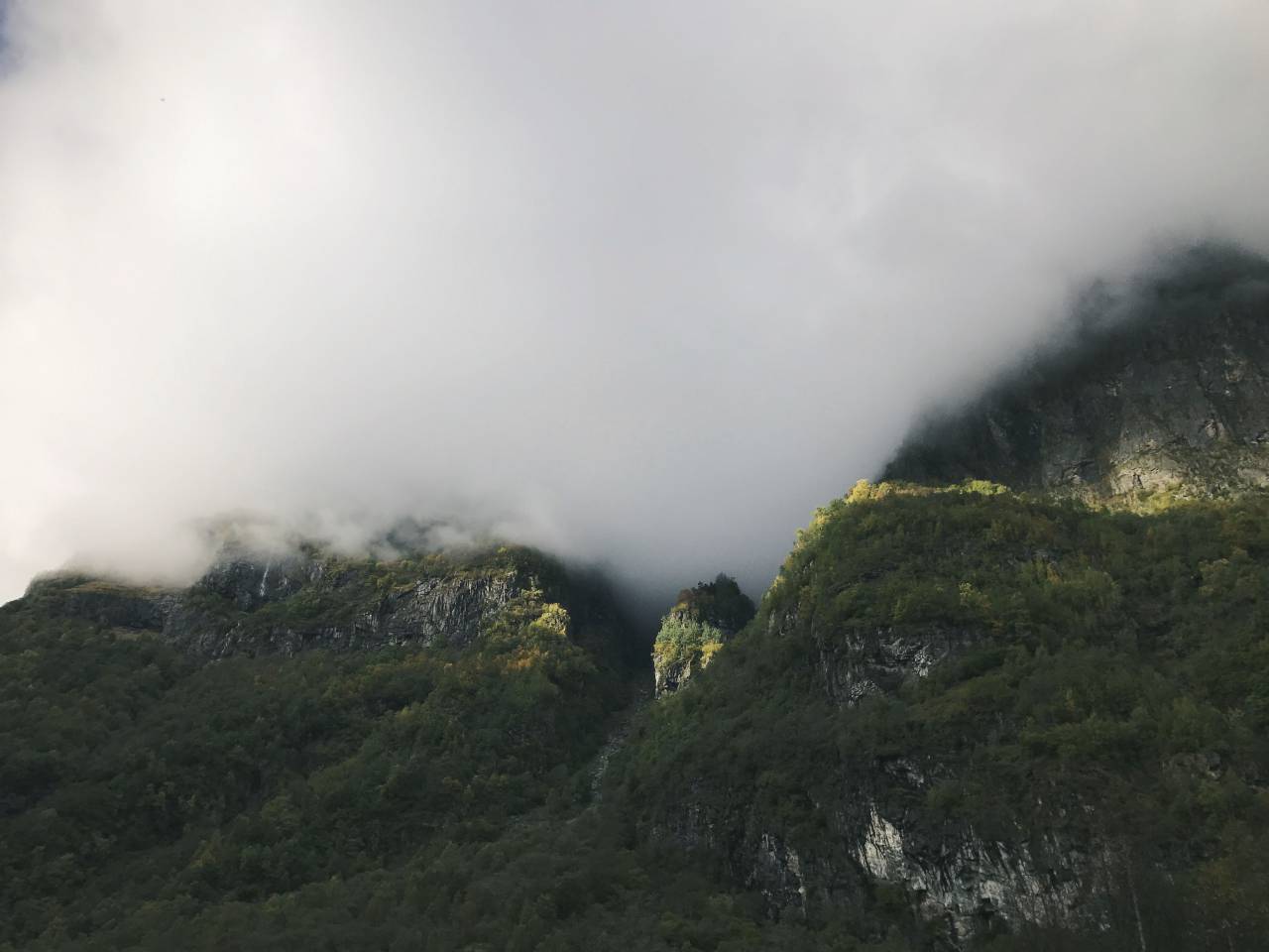 Montaña, árboles, plantas, naturaleza, paisaje, bosque, nieblas, frío,