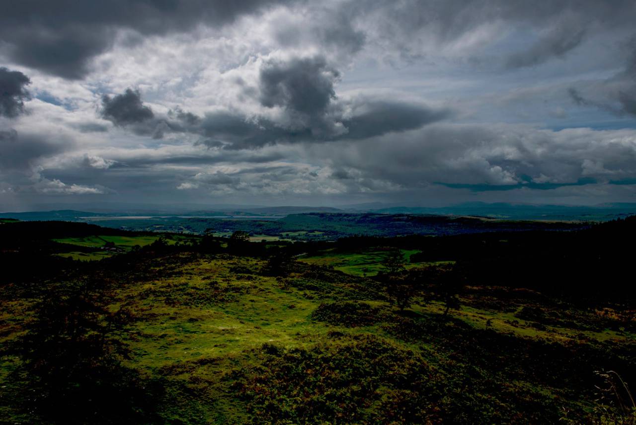 naturaleza, hierba, árboles, verde, cielo, nubes,
