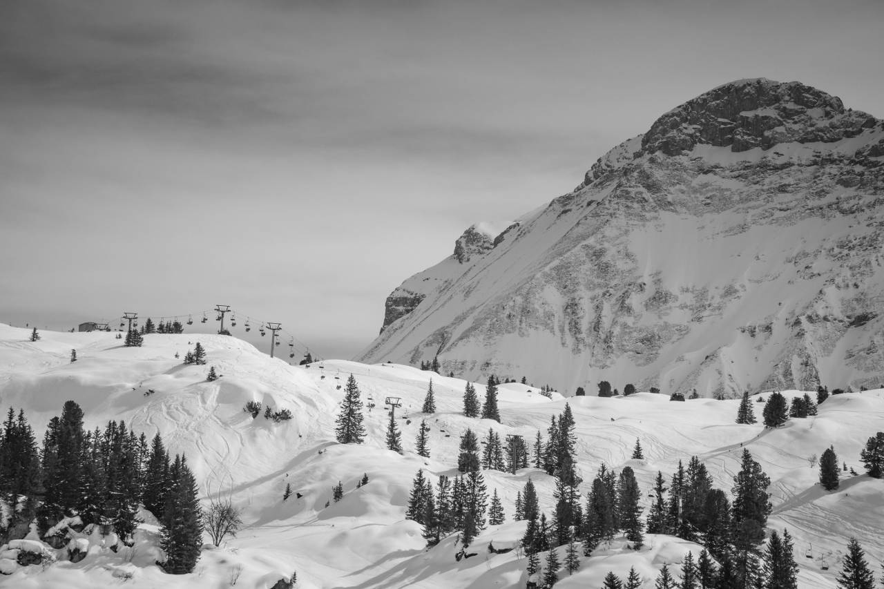 naturaleza, paisaje, montaña, viaje, aventura, árboles, caminata, escalada, trek, nubes, cielo, en blanco y negro, monocromo,