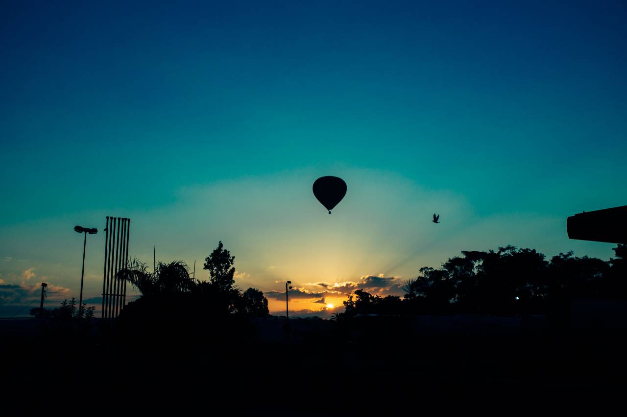 nature, landscape, parks, trees, hot, air, balloon, dusk, dawn, sunrise, sunset, sky, clouds, horizon, gradient, blue, violet, shadows, silhouette
, 