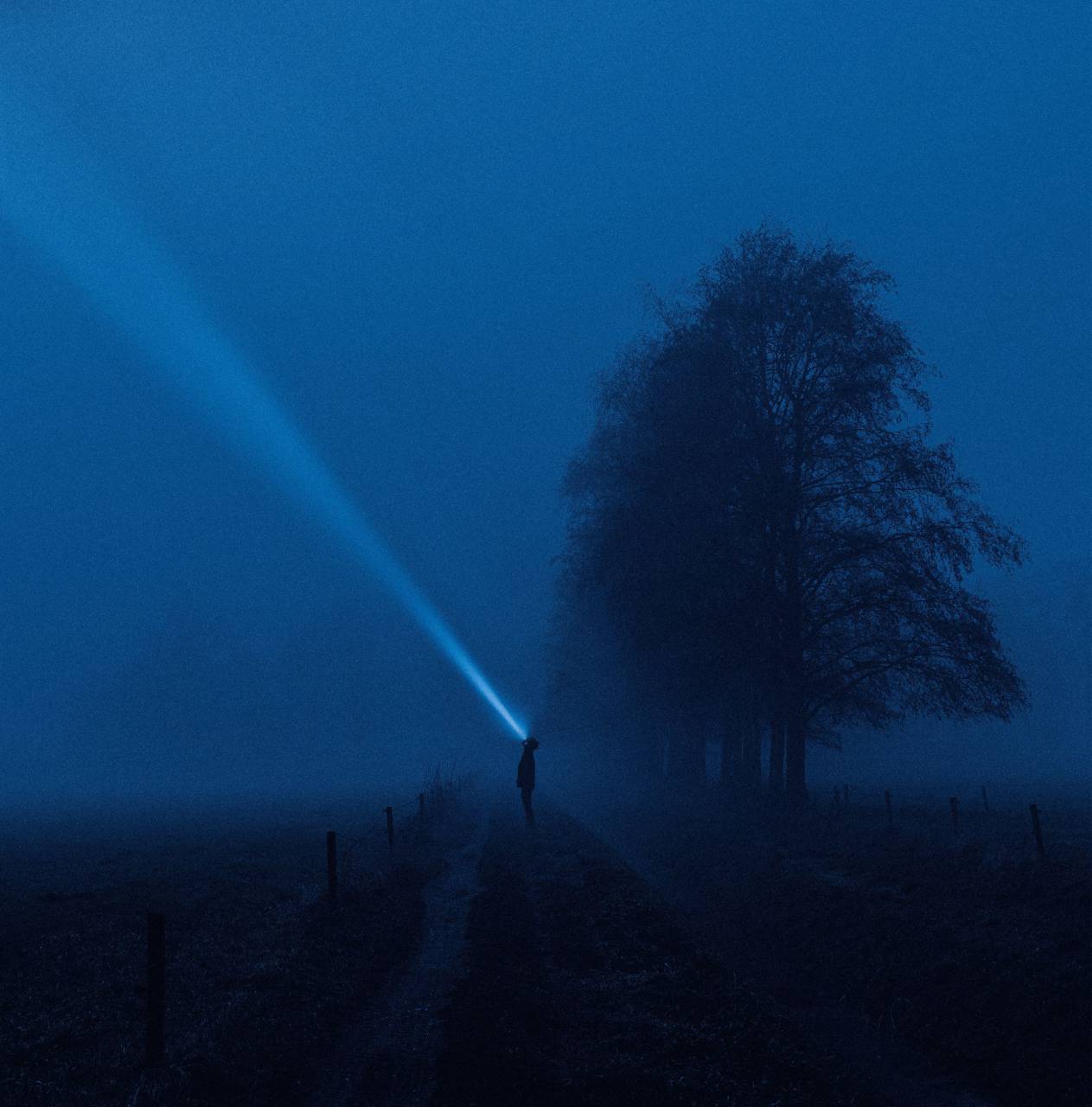 countryside;man;lantern;mist,fog,silhouette,nature,night,dark,outdoors,mystery,men,spooky,tree,loneliness,blue,back lit,winter,one person,horror,adult, 