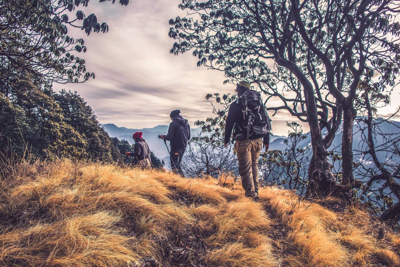 people, hiking, mountain, winter, autumn, cold, jacket, backpack, grass, tree, nature, walk, person, man, woman, path, hike
, 