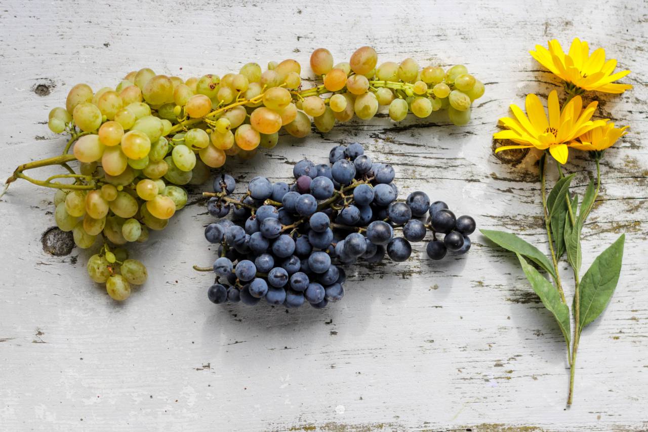 rústico, mesa, Flores, amarillo, Fresco, jardín, Fruta, uvas, comida, Garening, grano de madera, textura, Lay Flat, hoja, hojas, primavera, verano, nutrición, saludable, florecer, flor, ramo, de madera, hermosa, floral flora, naturaleza, orgánico,