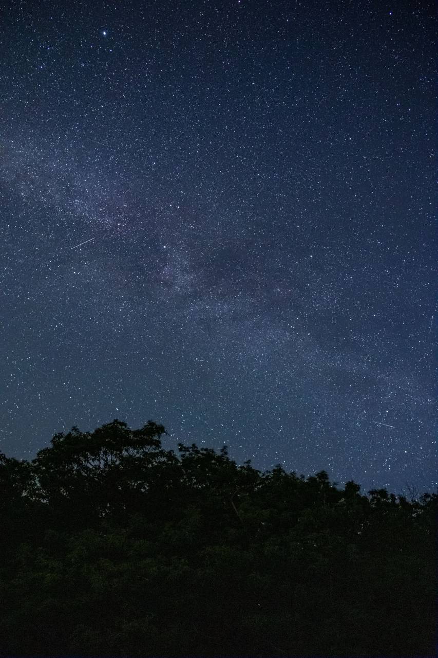 árbol, noche, estrellado, cielo, galaxia, espacio, árboles, silueta, naturaleza, noche, astronomía, al aire libre, estrellas, rural, astrofotografía, vía láctea,