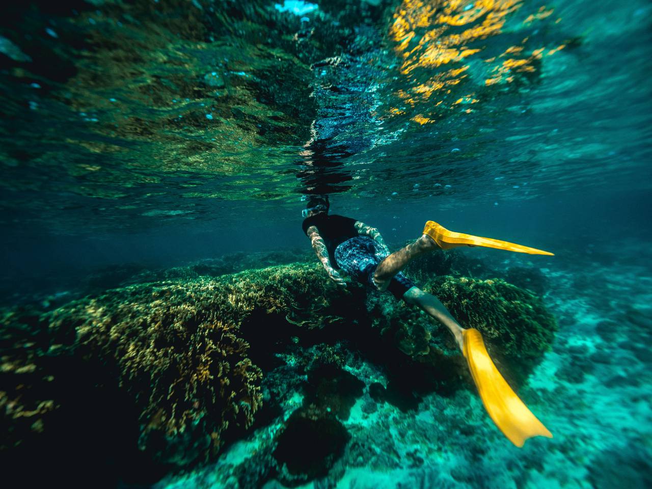 uderwater, travel, snorkeling, sea, diver, ocean, water, adventure, yellow
, 