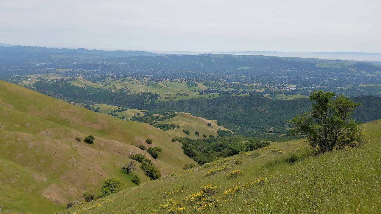 ascent, grassland, slope, spring time 