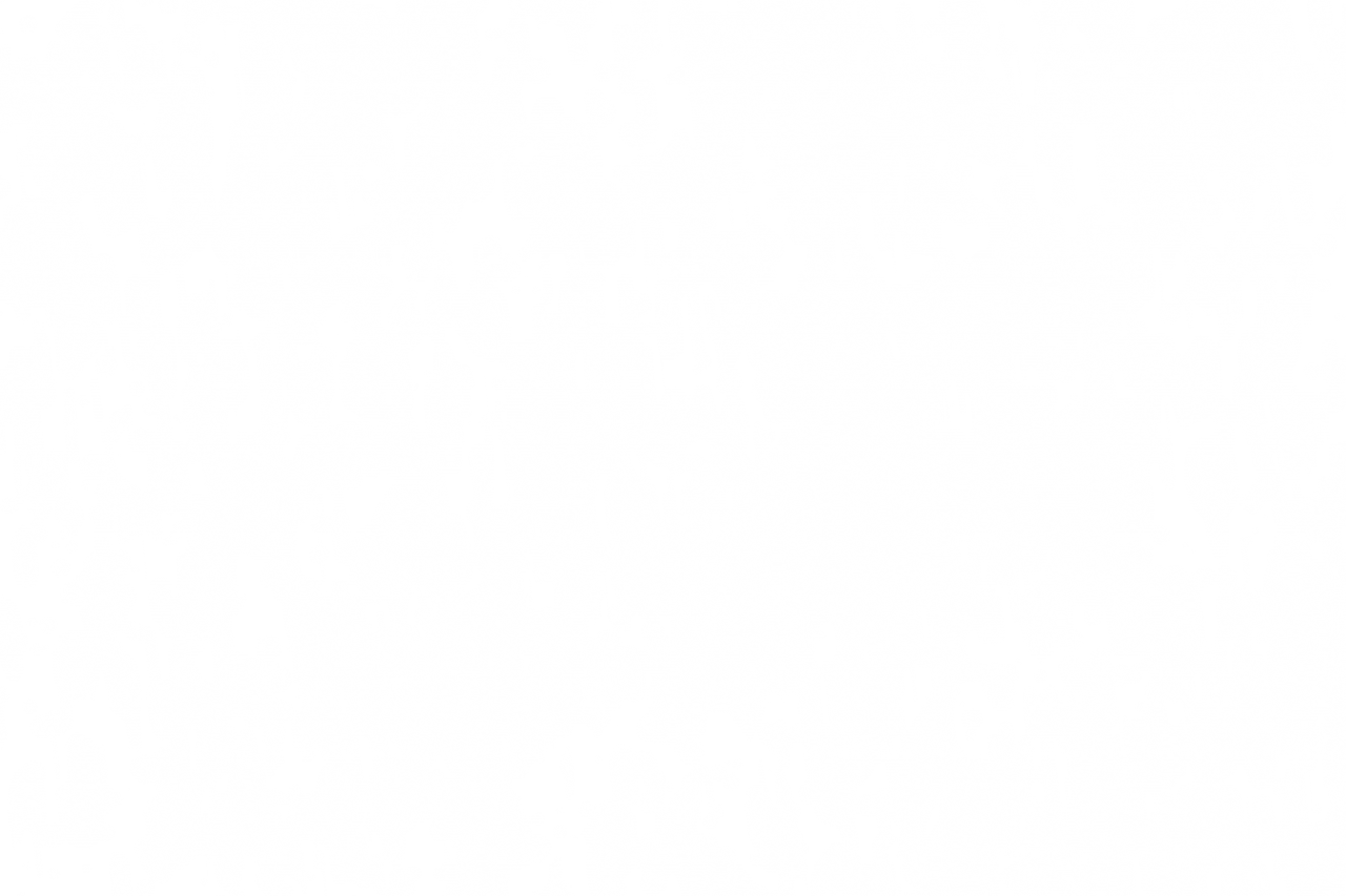  Christmas,snow,overlay,png,backgrounds,abstract,pattern,backdrop,silhouette,illustration,design,vector