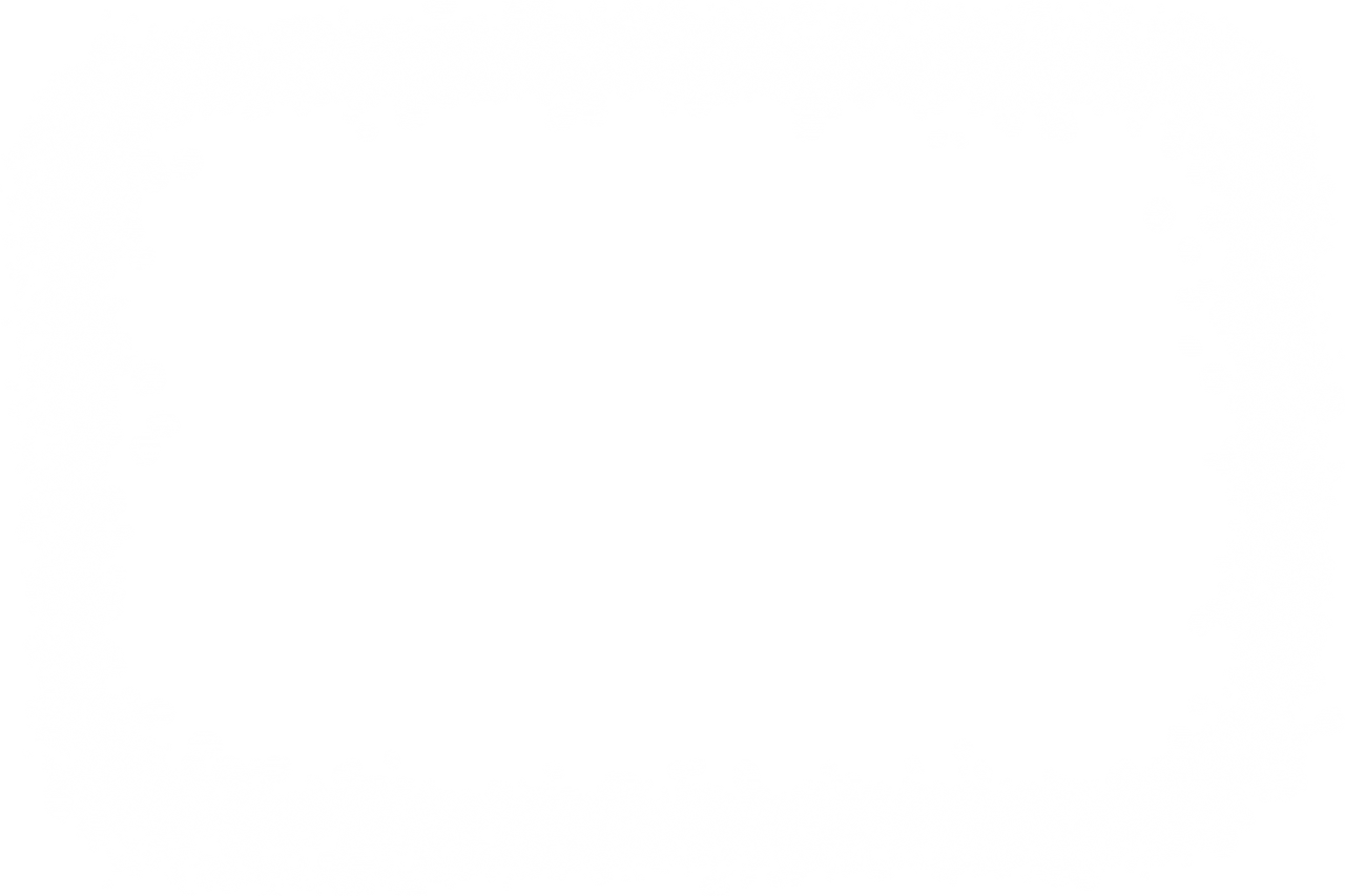 Christmas frames,overlay,png,pattern,backgrounds,abstract,design,no people,decoration,nature,illustration,backdrop,textile
