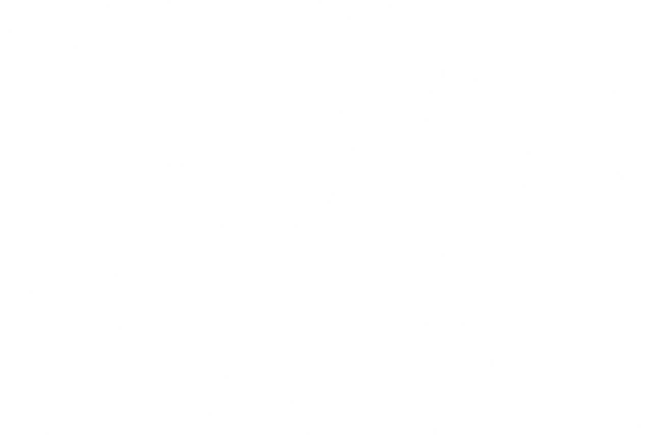  Christmas,snow,overlay,png,pattern,backgrounds,abstract,design,no people,decoration,nature,illustration,backdrop,textile