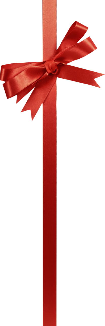  christmas,overlay,png,gift,decoration,celebration,birthday,backgrounds,isolated,shiny,tied knot,satin,package,close-up