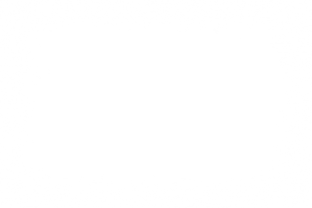  Christmas frames,overlay,png,pattern,backgrounds,abstract,design,no people,decoration,nature,illustration,backdrop,textile