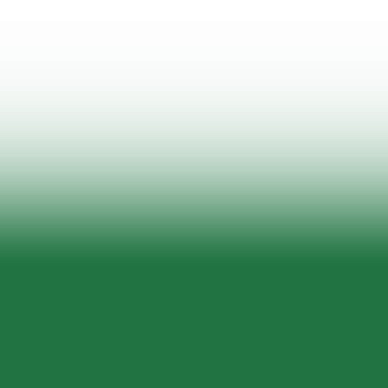  Plain Overlay Green,Overlay,png,backgrounds,pattern,abstract,green color,backdrop,design,nature,decoration,no people,close-up,illustration
