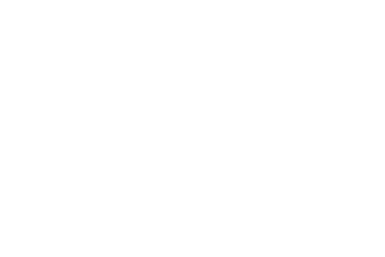  Christmas,snow,overlay,png,illustration,vector,symbol,sign,design,icon,silhouette
