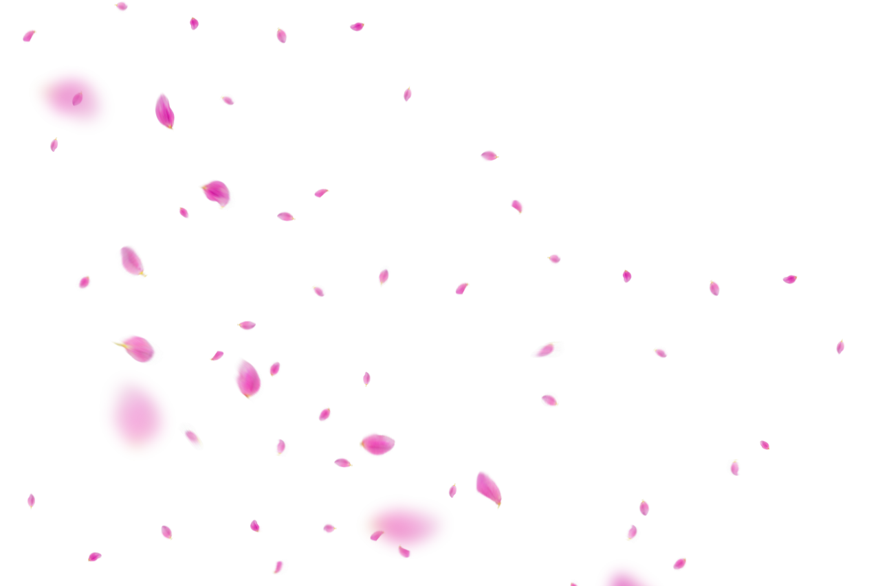  Flower Petals Background,Overlay,PNG,backgrounds,abstract,illustration,multi colored,vector,backdrop,pattern,design,decoration