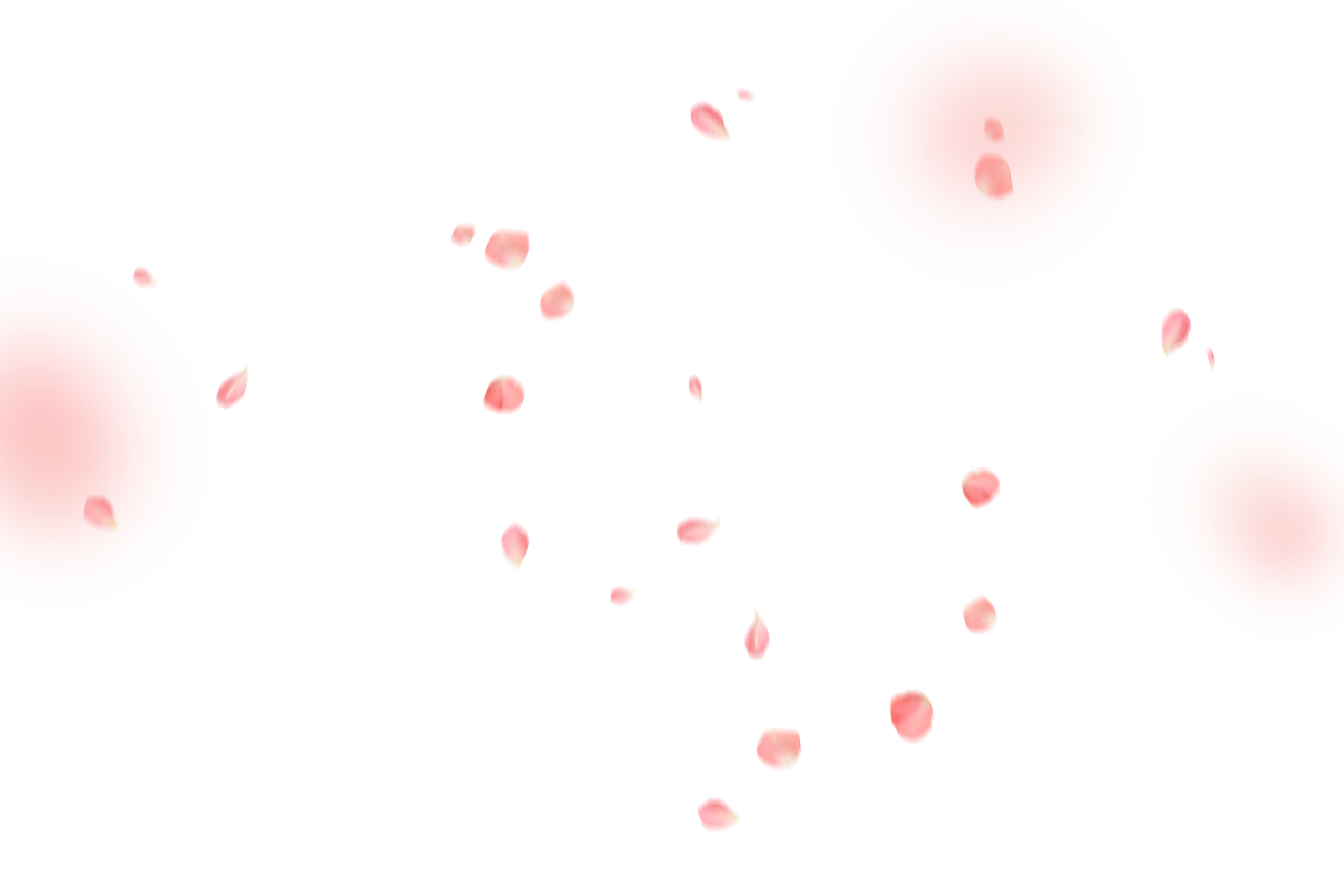  Flower Petals Background,Overlay,PNG,backgrounds,illustration,vector,abstract,night,design,backdrop,pattern