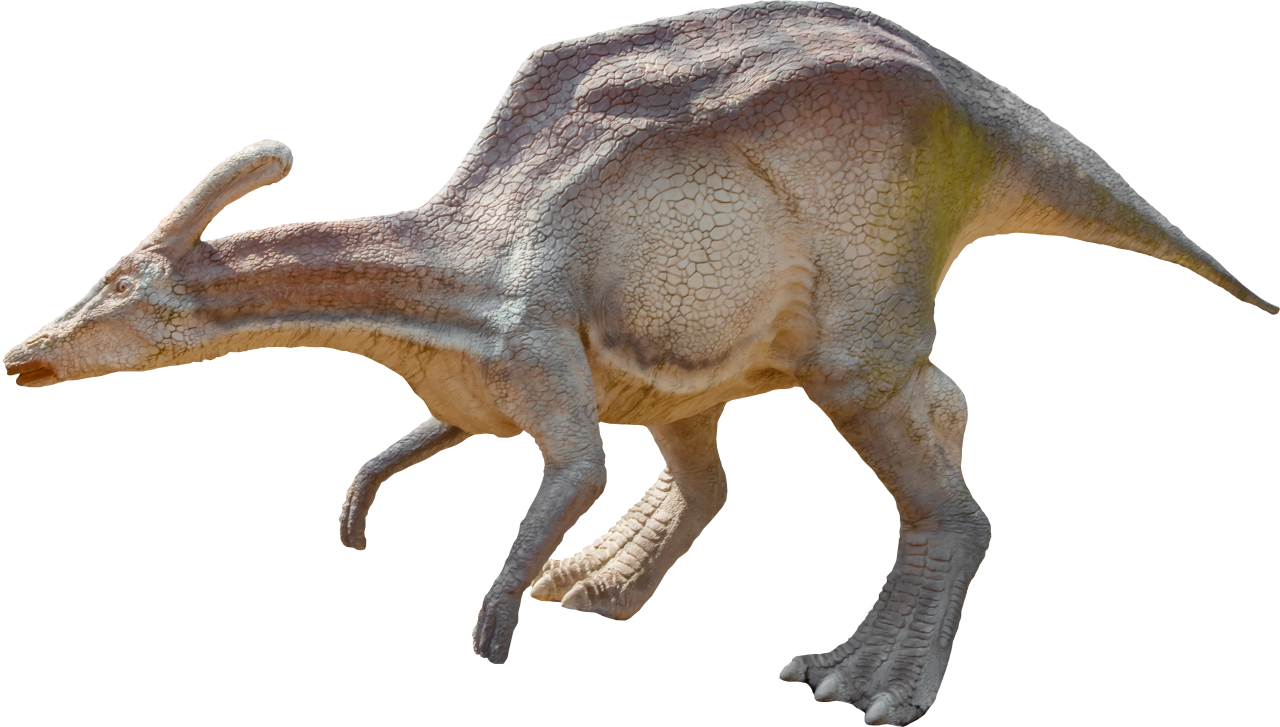  Dinosaur,Overlay,PNG,animal,nature,reptile,mammal,Lambeosaurio,lambeosaurus