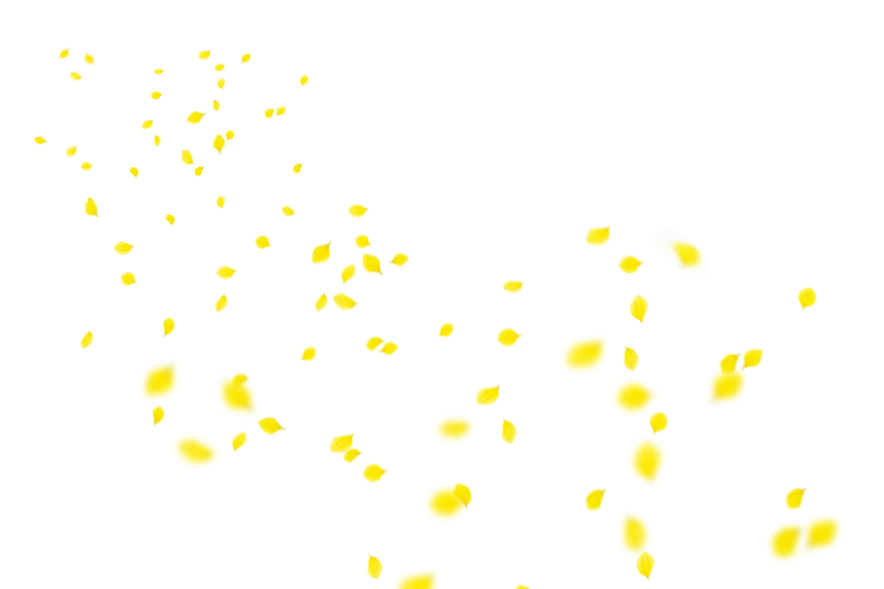  Flower Petals Background,Overlay,PNG,backgrounds,abstract,illustration,backdrop,celebration,yellow,pattern,vector,decoration,design,night