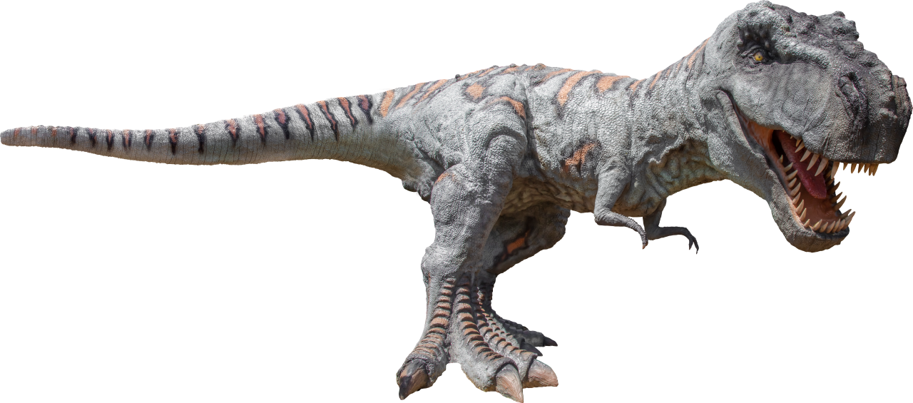  Dinosaur,Overlay,PNG,animal,reptile,illustration,dinosaur,extinct,stone age,isolated,three dimensional,nature,large,paleontology,Tiranosaurio rex

