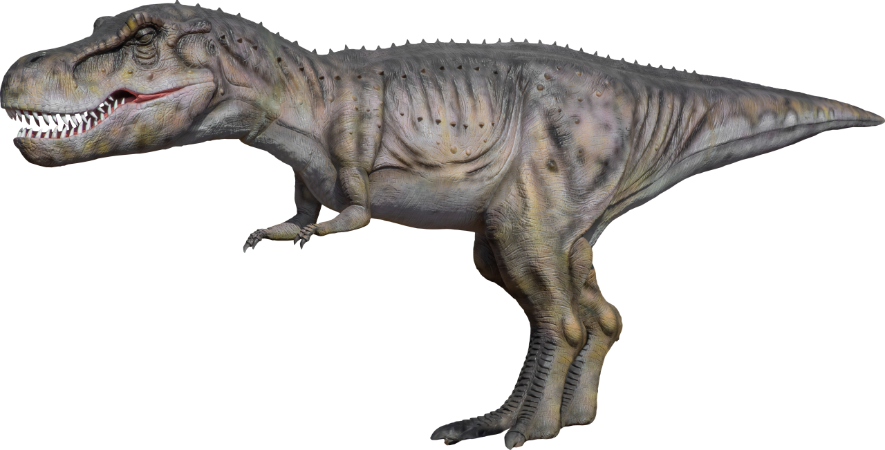  Dinosaur,Overlay,PNG,animal,reptile,dinosaur,illustration,extinct,three dimensional,paleontology,nature,stone age,large,lizard,giant,Tiranosaurio rex

