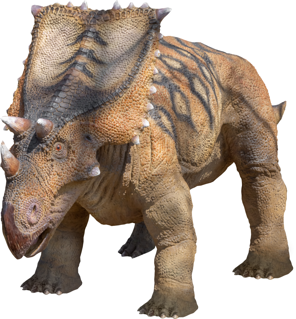  Dinosaur,Overlay,PNG,animal,nature,Triceratops,horn