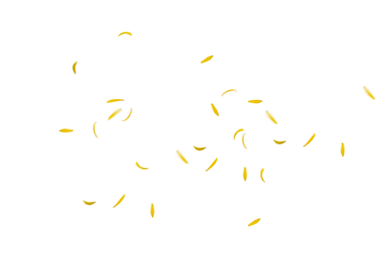 Fundo de pétalas de flores,Sobreposição,ilustração,planos de fundo,resumo,criatividade,padrão,multi colorido,pano de fundo,decoração