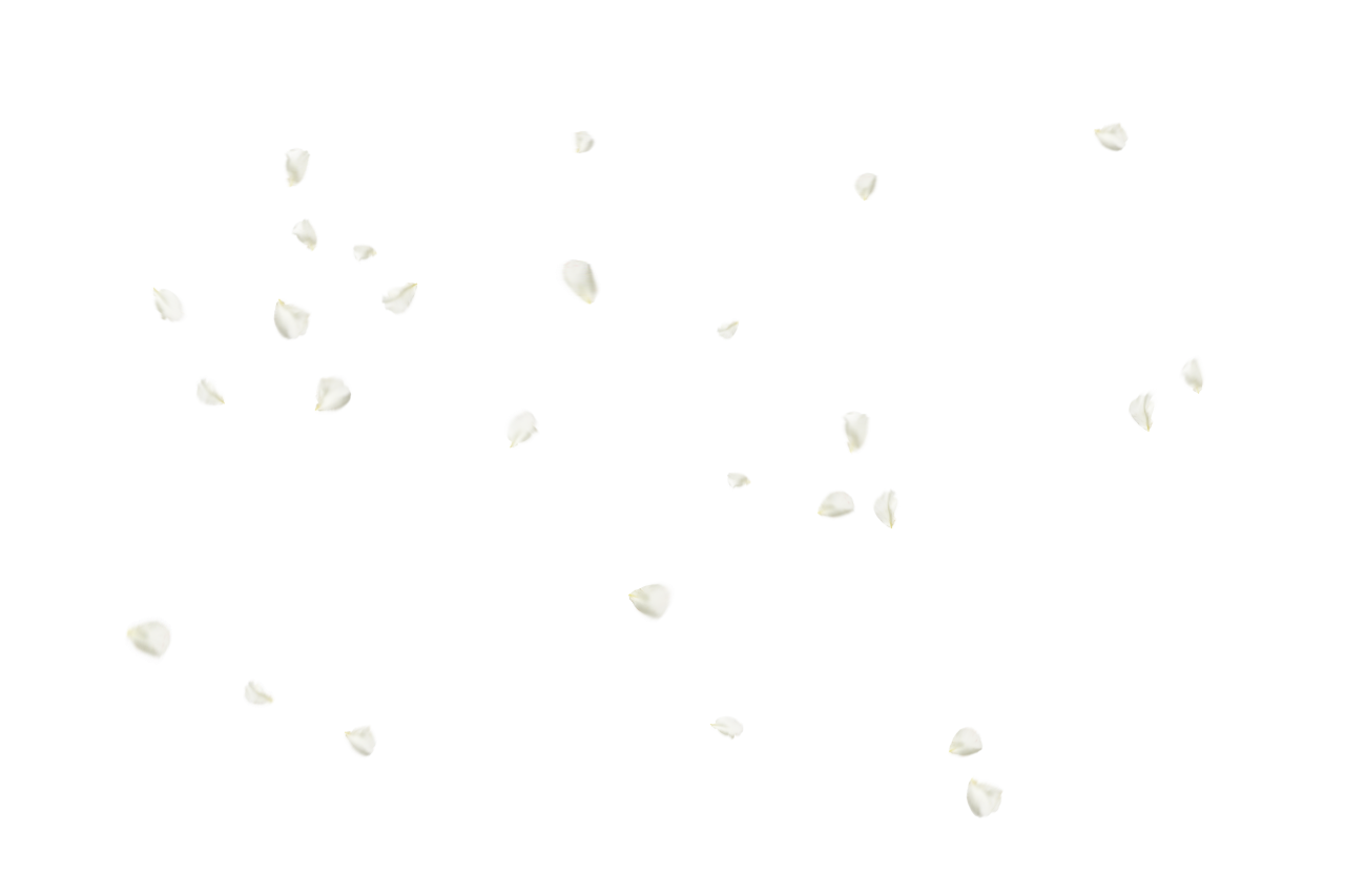  Flower Petals Background,Overlay,PNG,nature,drop,water,backgrounds,liquid,abstract,pattern,wet,close-up,transparent,illustration,shape,design,vector