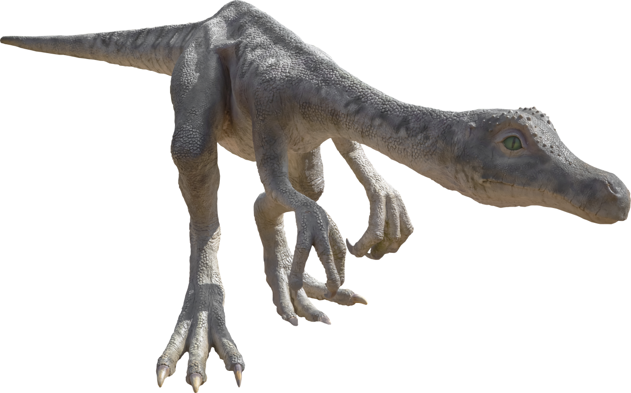  Dinosaur,Overlay,PNG,animal,reptile,dinosaur,illustration,extinct,nature,three dimensional,paleontology,stone age,giant,isolated,lizard