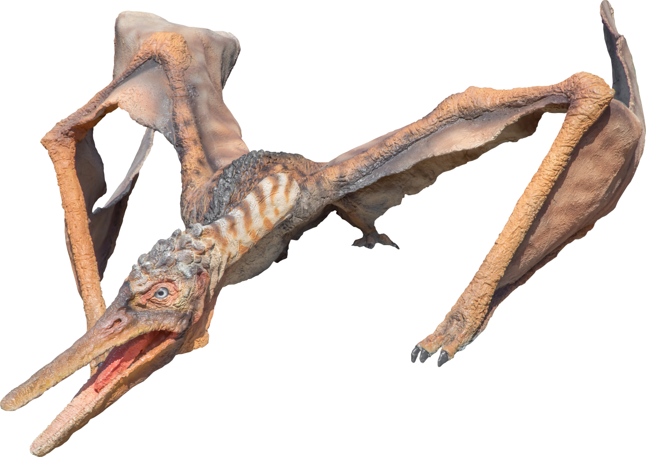  Dinosaur,Overlay,PNG,animal,reptile,nature,Pteranodon,