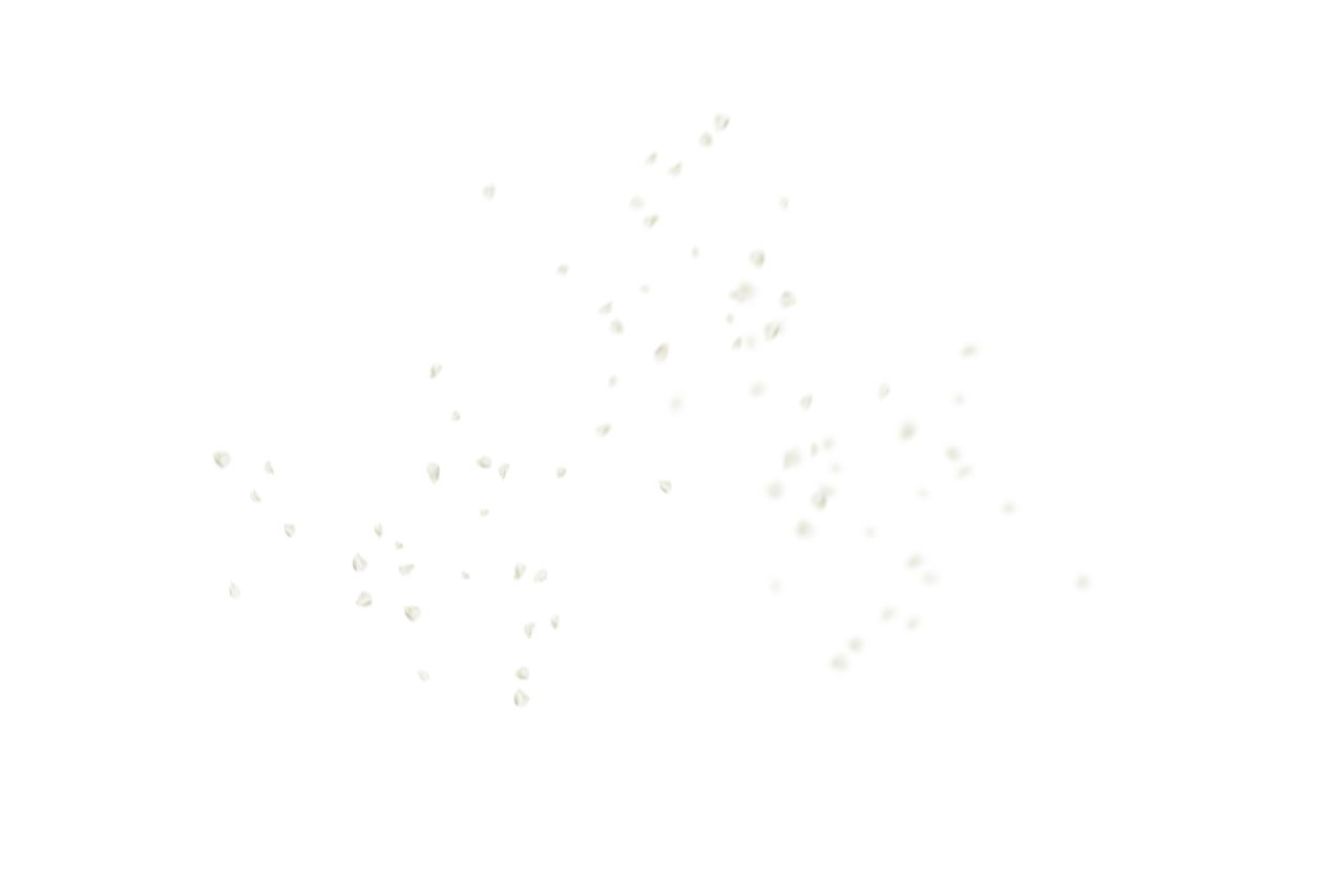 Fundo De Pétalas De Flores,Sobreposição,PNG,isolado,ilustração,planos de fundo