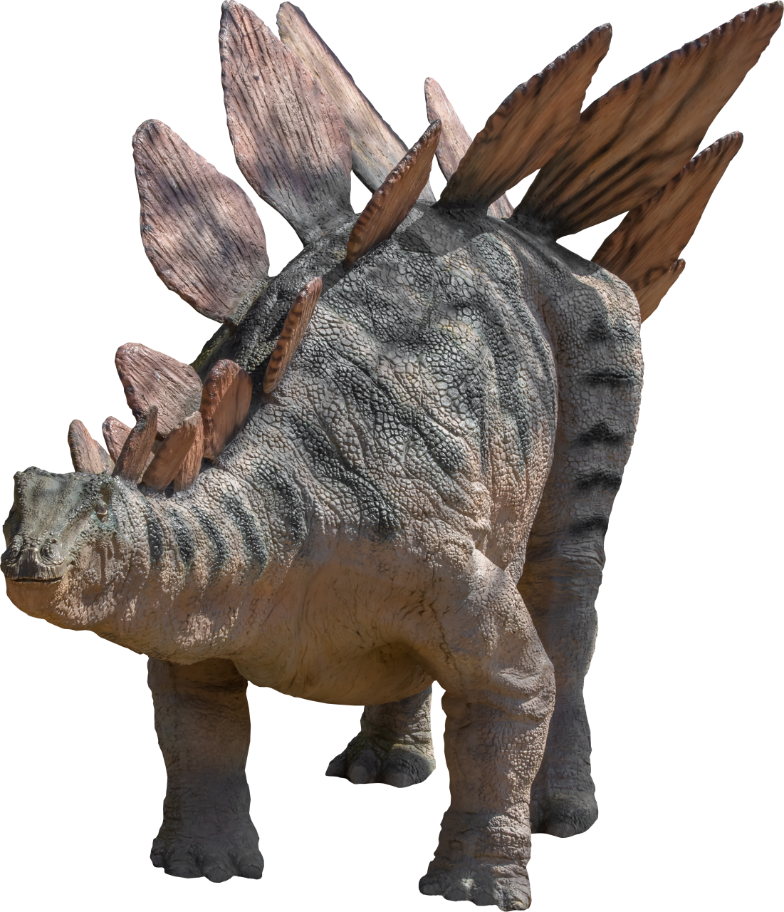  Dinosaur,Overlay,PNG,animal,nature,mammal,outdoors,Estegosaurio,stegosaurus
